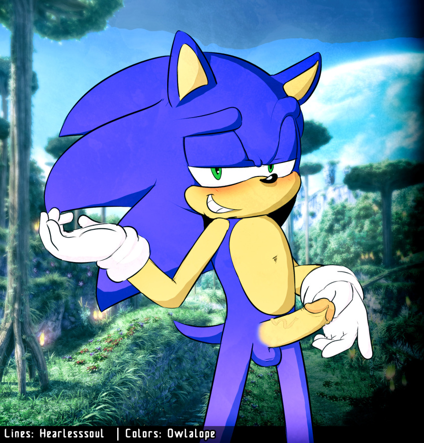 5_fingers anthro blue_fur blue_hair blue_tail blush clothing detailed_background erection exposed fur gloves green_eyes hair hearlesssoul hedgehog humanoid_penis looking_at_viewer male male_only mammal mostly_nude multicolored_fur outside owlalope penis short_tail smile smirk solo sonic_(series) sonic_the_hedgehog standing tan_fur teeth two_tone_fur