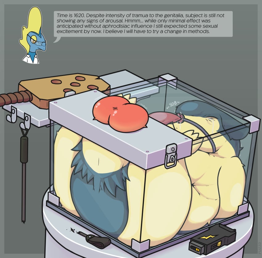 Pokemon (Species) Rule 34 Image