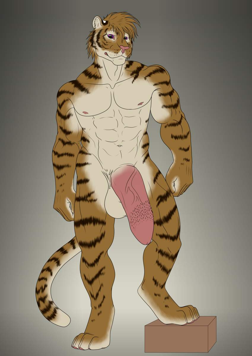 1boy 2016 abs anthro barbed_penis big_penis big_testicles feet feline flaccid furry hi_res huge_penis huge_testicles kato_(tiger) kurin male male_only mammal nude original_character paws penis pose presenting purple_eyes solo standing stripes tail testicles tiger veins veiny_penis