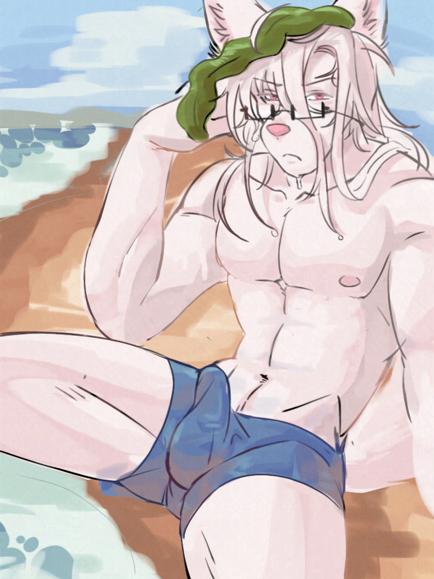 albino angry anthro beach bulge canid canine eyewear fox genitals glasses hair hi_res jebedotpng long_hair male mammal nipples penis red_eyes seaside seaweed solo water wet wet_body white_hair yokou_(jebedotpng)