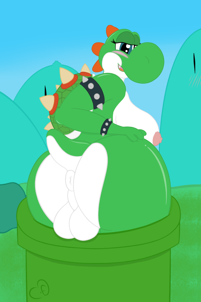 1futa absurd_res anus ass balls big_breasts blush breasts cogsfixmore dickgirl fan_character fangs futa_only futanari green_yoshi hi_res hybrid intersex koopa looking_back mario_(series) nintendo nipples outdoors scalie solo super_mario_bros. testicles video_games warp_pipe yoshi