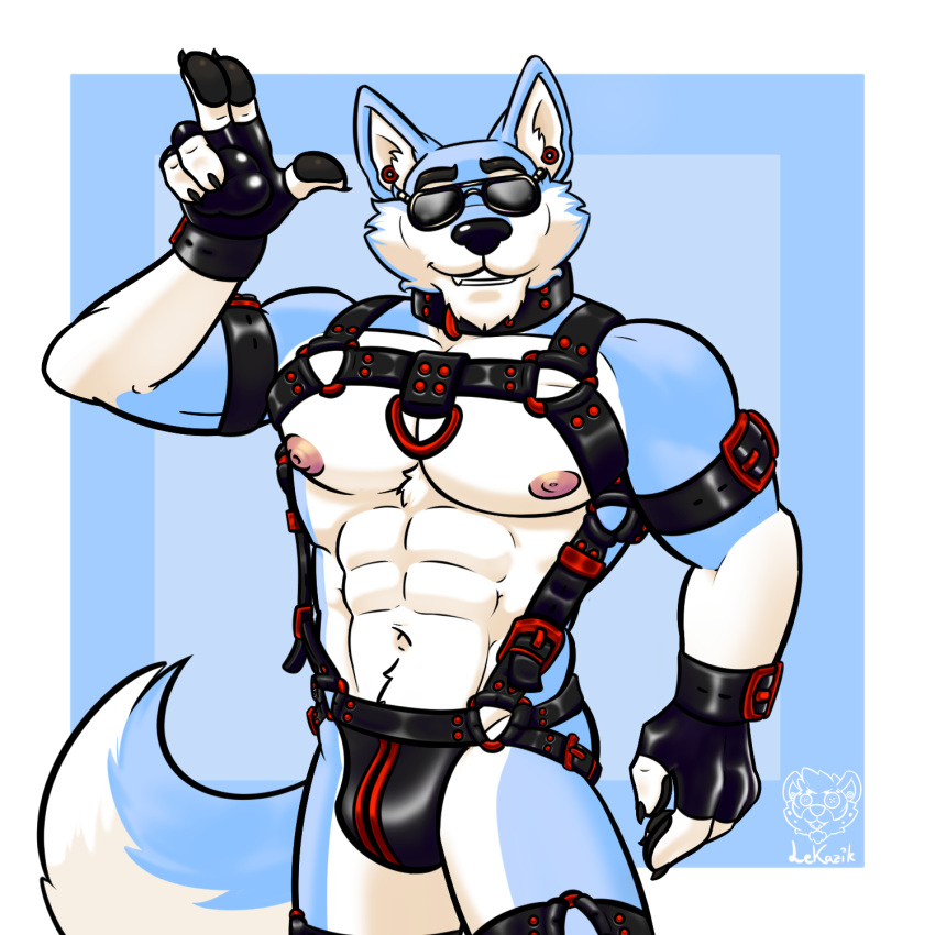 abs anthro armband biceps big_pecs black_nose blue_body blue_fur bulge canid canine canis clothing collar ear_piercing ear_ring ear_tunnel eyewear front_view fur gloves handwear harness hi_res jockstrap leather leather_harness leather_strap lekazik looking_at_viewer male mammal muscular muscular_anthro muscular_male navel nipples pecs piercing ring_piercing simple_background solo standing straps sunglasses teeth underwear white_body white_fur