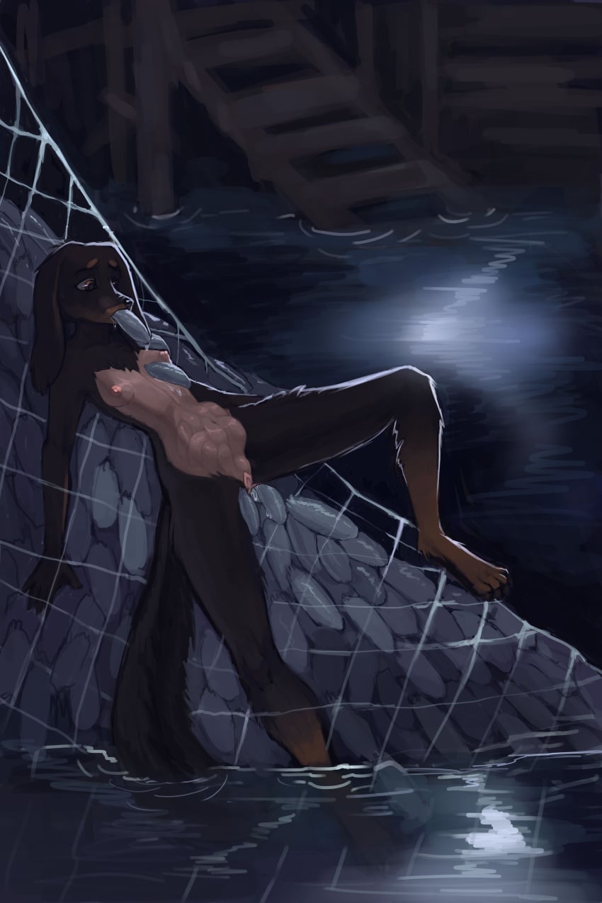 Bloodborne Rule 34 Image