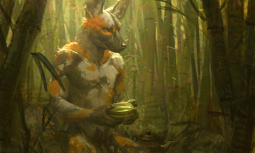 2018 african_wild_dog animal_genitalia anthro balls bamboo beverage black_nose blue_eyes canine claws day detailed_background digital_painting_(artwork) holding_object kneeling leaf looking_down male_only mammal nomax nude outside sheath solo tea teapot whiskers