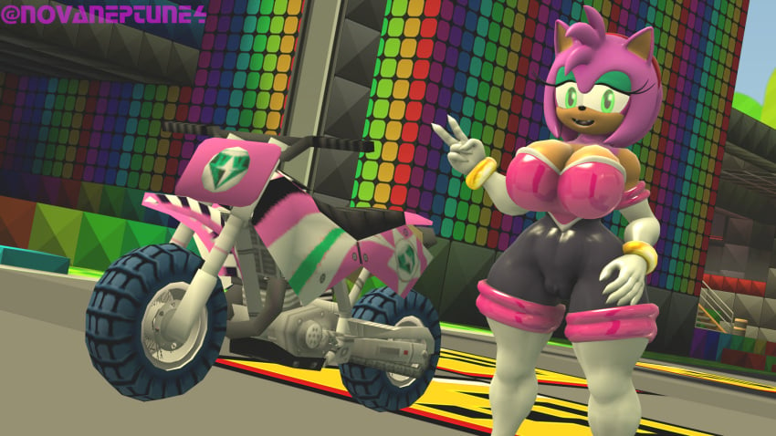 3d_(artwork) amy_rose amy_the_bat big_breasts biker_girl bodysuit busty cameltoe curvy hedgehog hedgehog_girl neckline novaneptune4 rouge_the_bat_(cosplay) sonic_(series) spandex_suit tahlian