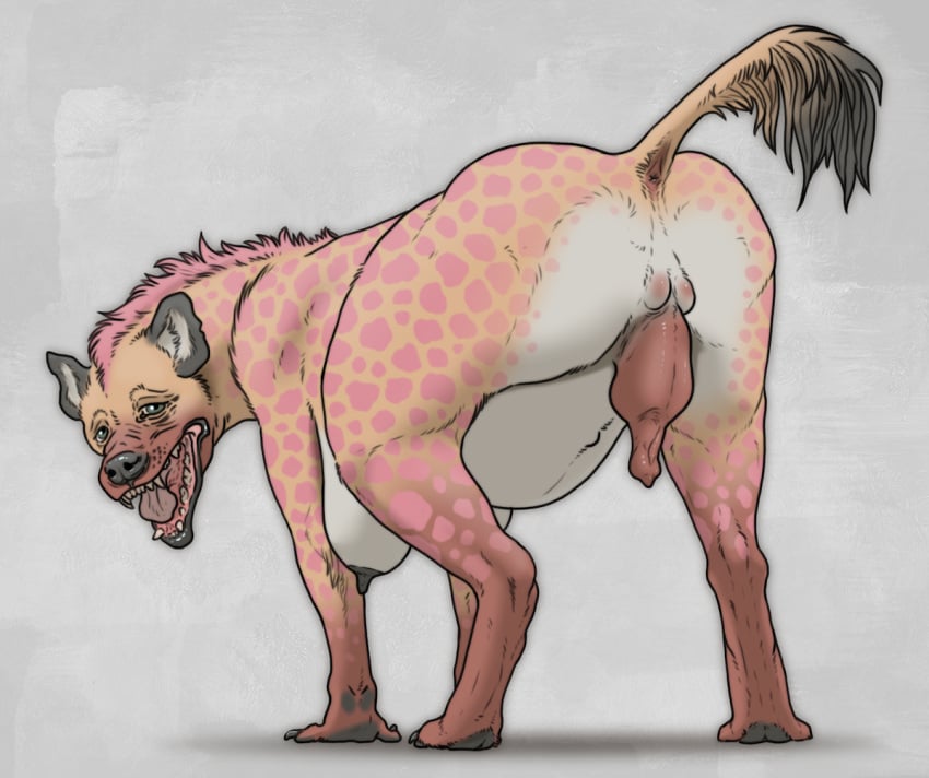 all_fours animal_genitalia anthro bared_teeth birth breasts female genitals growling hair hyena mammal monadichyena nipples pained_expression pink_body pink_hair pregnant pregnant_female pseudo-penis rear_view solo spotted_hyena tagme