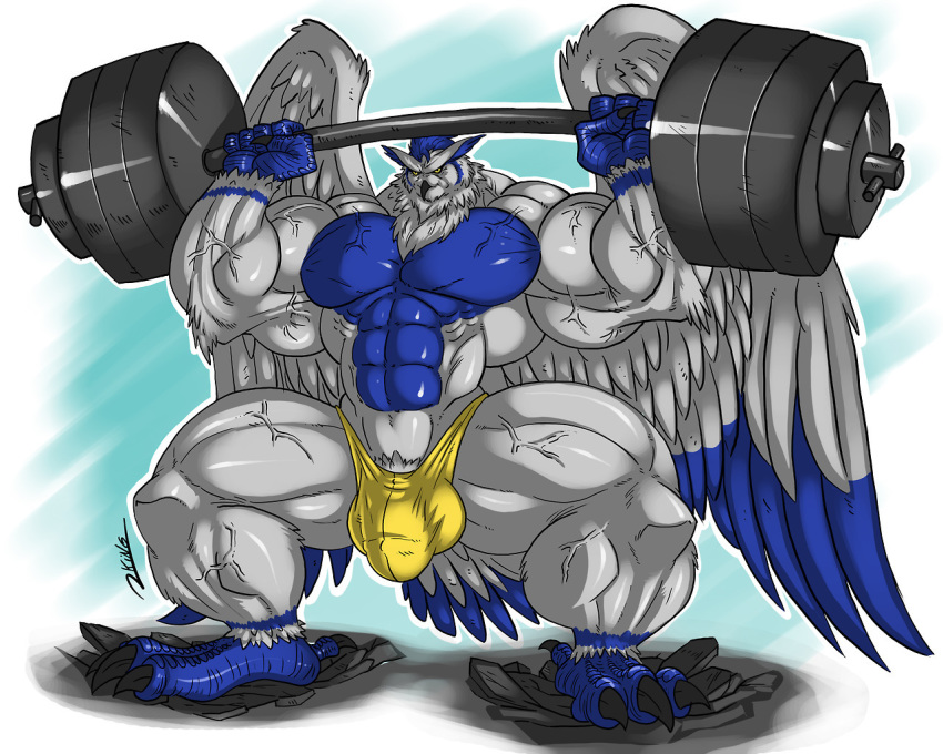 anthro avian bulge clothing exercise gay hyper hyper_muscles male muscular muscular_male pubes rhinoking solo sova standing underwear veiny_muscles weightlifting workout yaoi