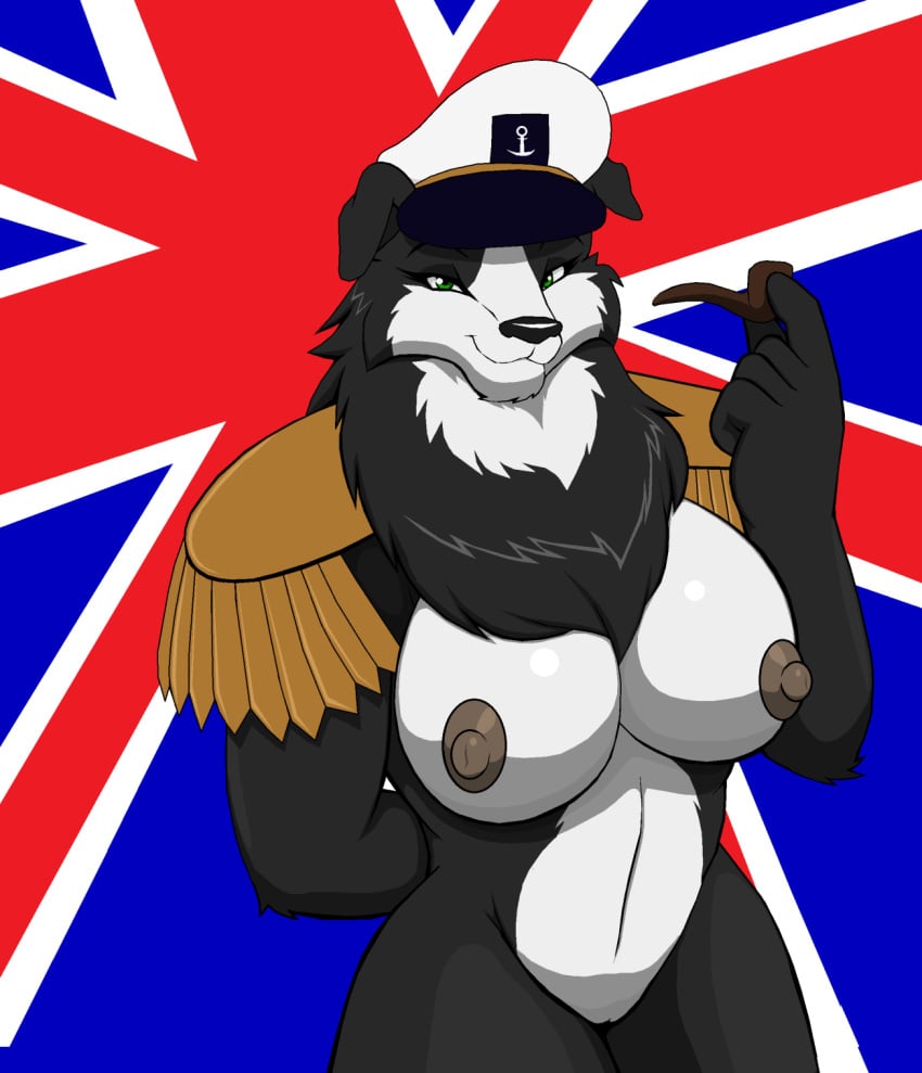 anthro border_collie breasts british_flag droll3 emmy_(droll3) female looking_at_viewer navy_hat pussy shoulder_pads solo world_war_2 ww2