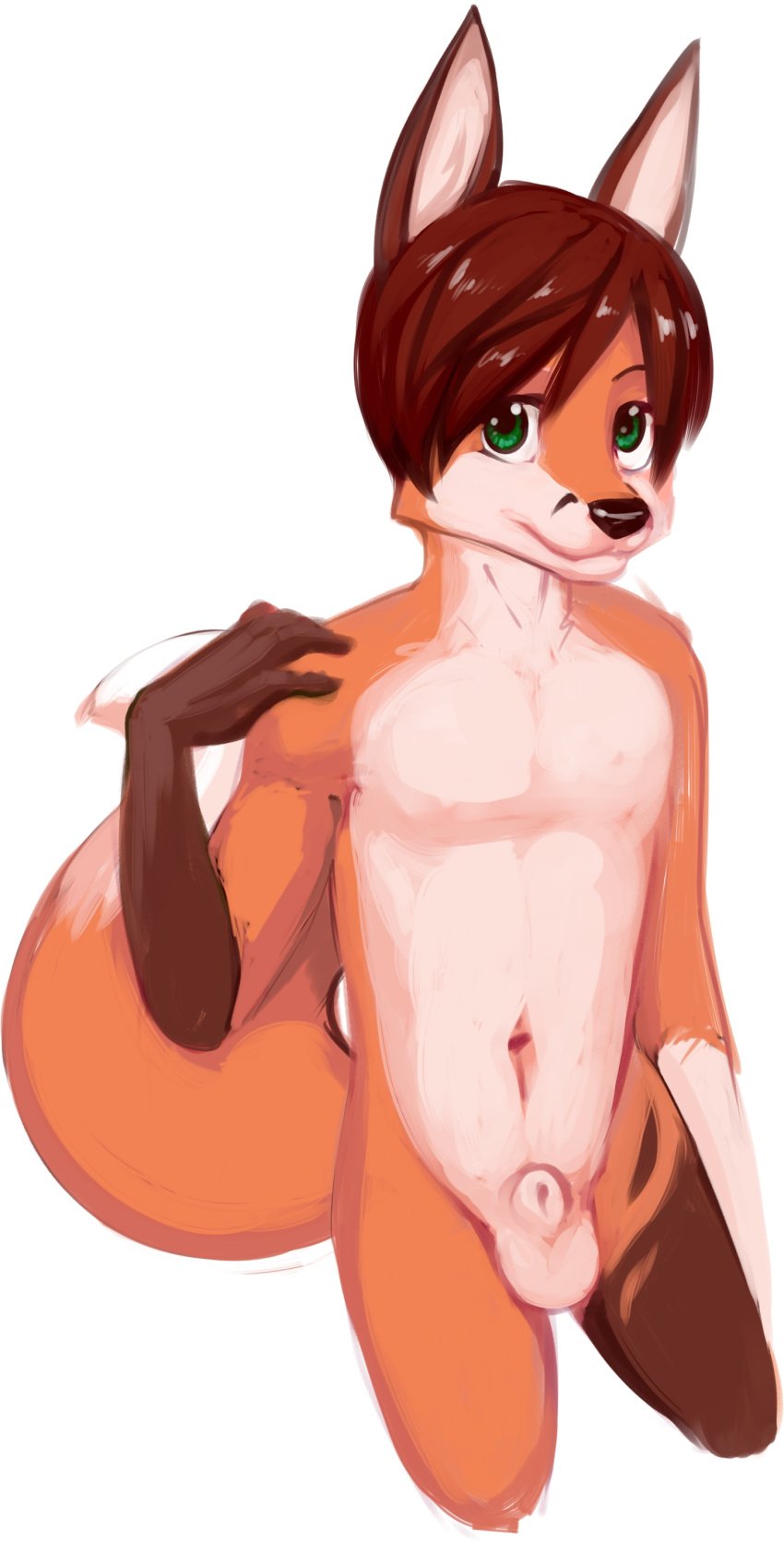 animal_genitalia anthro balls bastion black_nose brown_fur brown_hair canine dipstick_tail fox fur green_eyes hair male male_only mammal multicolored_tail navel nude orange_fur sheath simple_background solo standing teenager white_background young