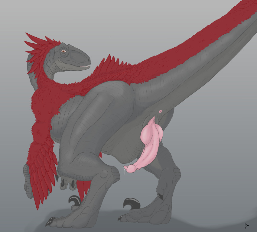 anus dinosaur feathers feral knot looking_at_viewer male male_only penis precum presenting raptor red_feathers solo theropod wyatt wyatt_(artist)