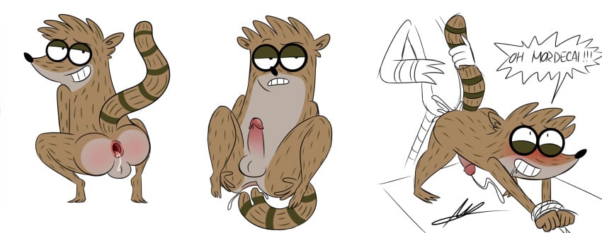 anal anal_masturbation anal_sex anthro anus autopenetration avian balls bird cartoon_network gaping gaping_anus male male_only mammal masturbation mordecai_(regular_show) penetration penis procyonid raccoon raymondfoxxx regular_show rigby_(regular_show) tail_masturbation yaoi