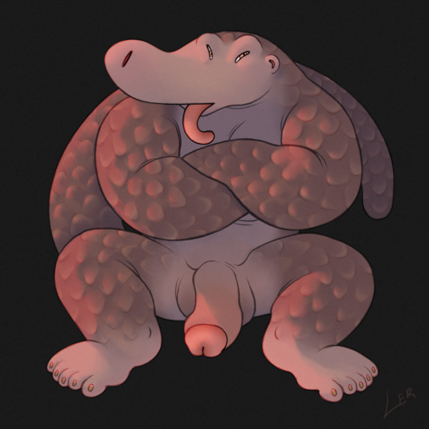 Anthro Rule 34 Image