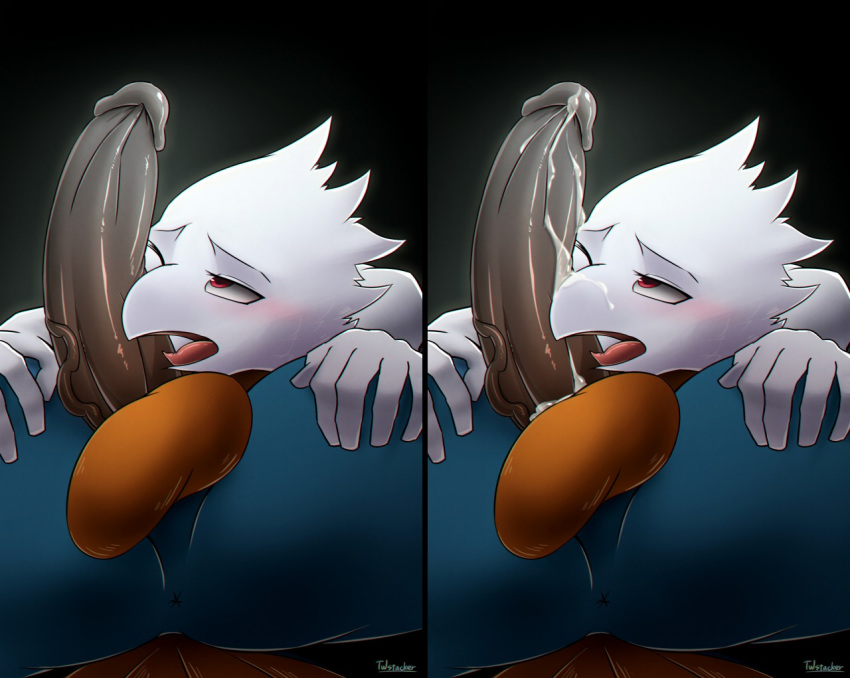 Kass (Zelda) Rule 34 Image