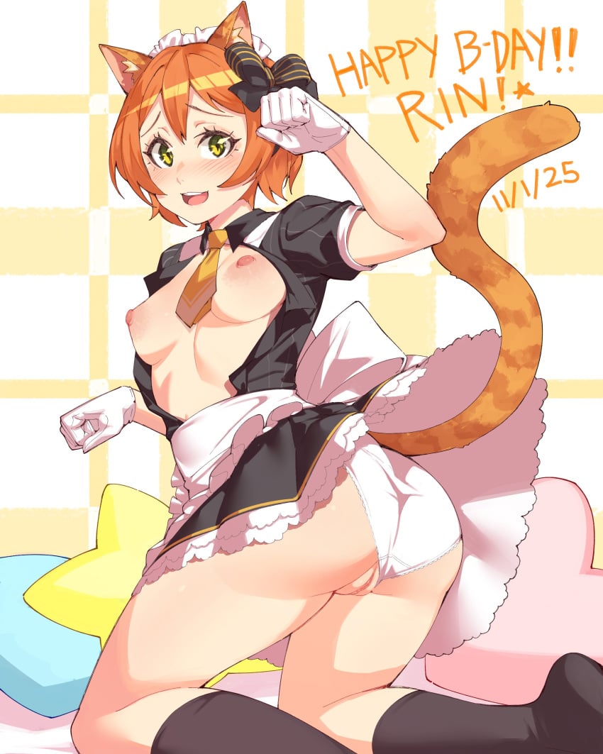 Hoshizora Rin (Love Live!) Rule 34 Image