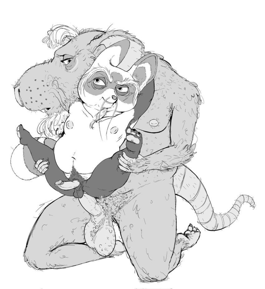 Master Shifu (Dreamworks) Rule 34 Image