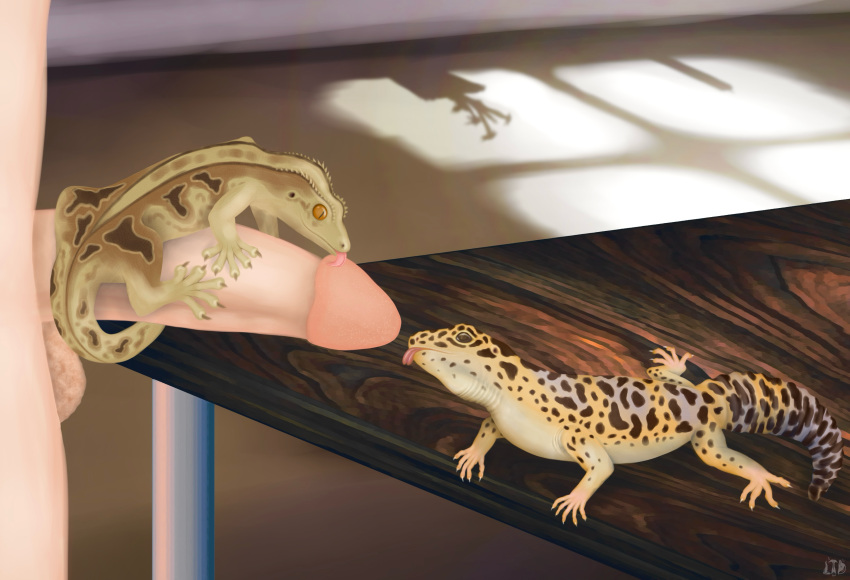 Absurd Res Rule 34 Image