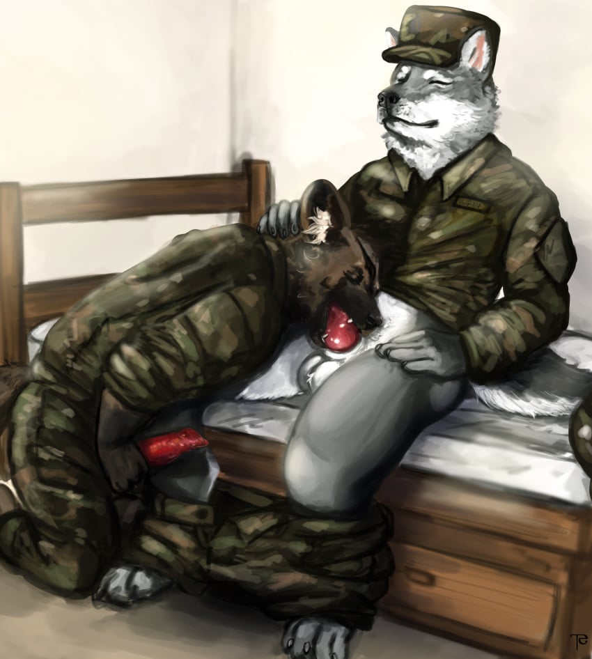 african_wild_dog animal_genitalia animal_penis anthro anthro_on_anthro asraitheome canine canine_penis male mammal military opekun penis sieg_veldt wolf yaoi