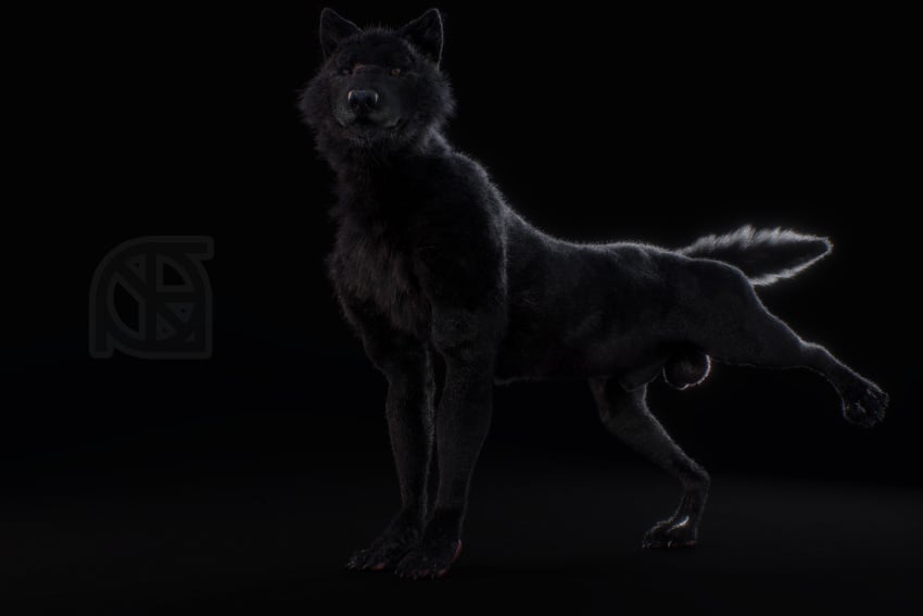 3d animal_genitalia anthro balls black_fur black_nose canine cosmiclife dark_theme feral fur hi_res looking_at_viewer male male_only mammal penis pinup pose presenting realistic romeo semi-anthro sheath solo spread_legs spreading wolf