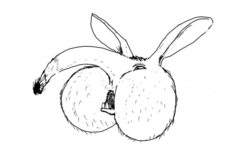 anus butt_focus buttface disembodied_ass furry kangaroo mammal marsupial monochrome open_mouth postalroo simple_background solo what