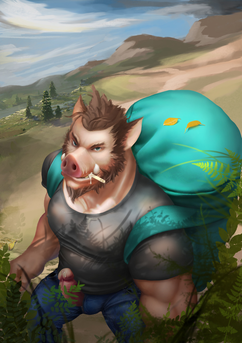 anthro bag beard boar erection facial_hair hiking kemono male male_only mammal penis porcine saliva solo yinhu885 寅虎-烎虎