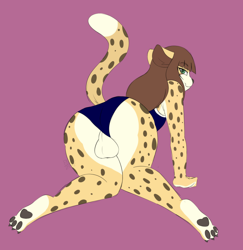 2018 androgynous balls brown_hair brunette cheetah clothing commission cypress_cheetah ensayne femboy fur furry furry_only girly green_eyes gynomorph long_hair male male_only original_character solo swimsuit tail trap