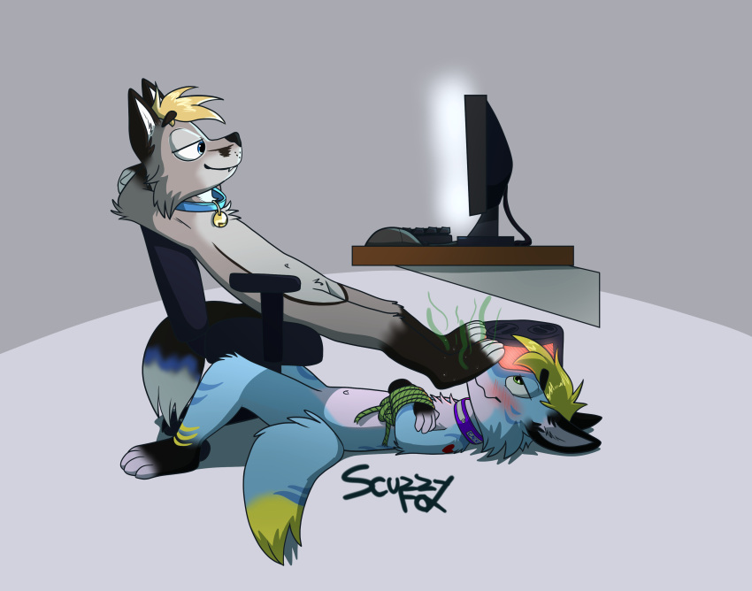 absurd_res anthro arms_tied bodily_fluids bound caertha_secufox canid canine chair desk duo feet foot_fetish fox furniture hi_res lying male male/male mammal musk musk_clouds musk_worship musky_feet office_chair on_back on_chair scuzzy_(scuzzyfox) scuzzyfox sitting sitting_on_chair sweat sweatdrop table