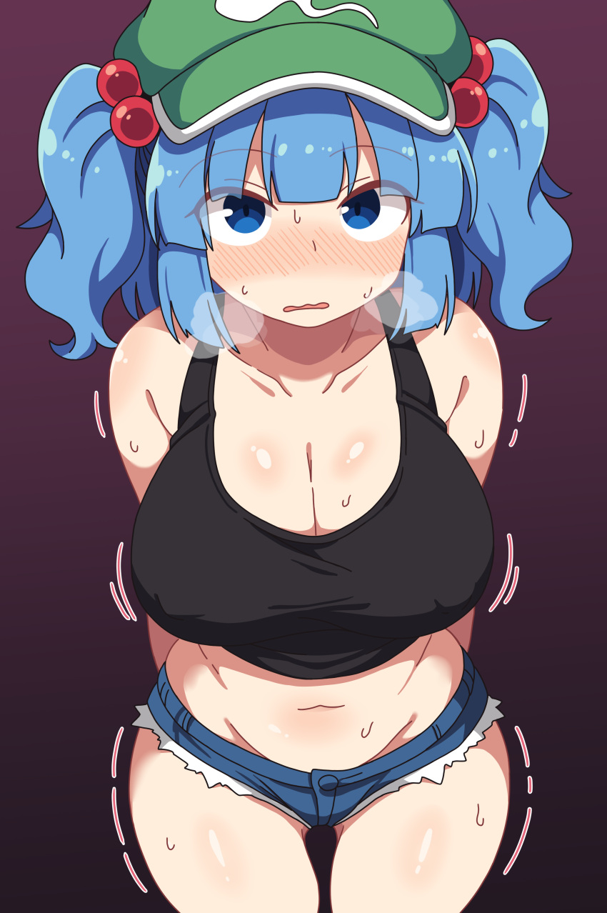Kawashiro Nitori (Touhou) Rule 34 Image