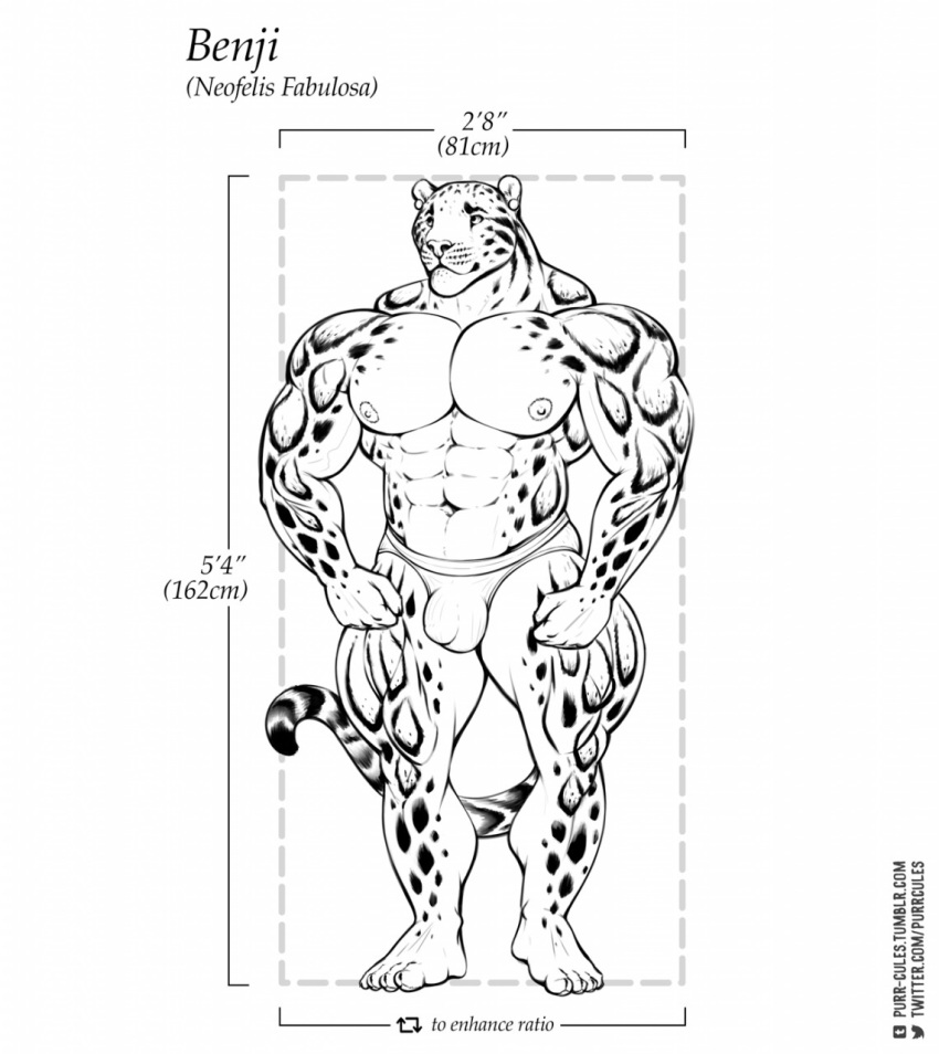 2018 abs anthro areola benji_(character) big_arms big_muscles bulge clouded_leopard ear_piercing feline front_view mainlion male male_only mammal monochrome muscular muscular_male pecs piercing solo spots standing thick_thighs