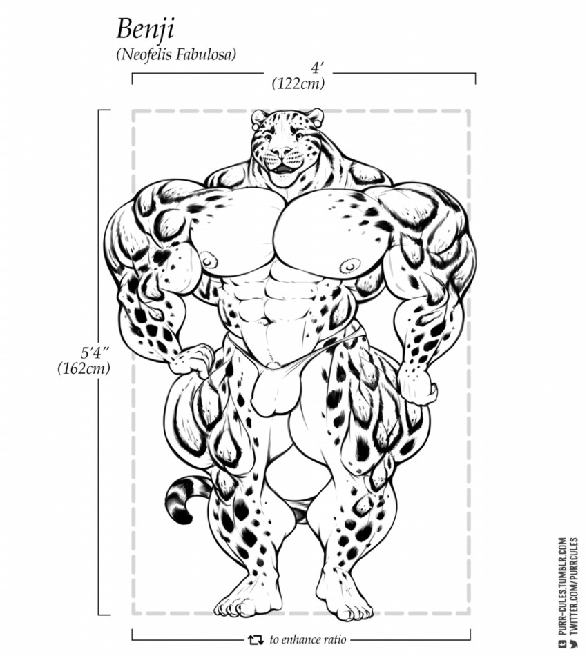 2018 abs anthro areola benji_(character) big_arms bulge clouded_leopard ear_piercing feline front_view hyper hyper_muscles mainlion male male_only mammal monochrome muscular muscular_male pecs piercing solo spots standing thick_thighs