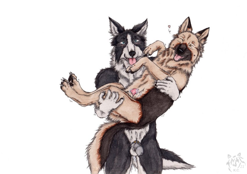 2021 anthro anthro_on_feral artist_logo balls black_body black_fur black_nose blue_eyes border_collie brown_body brown_fur canid canine canis chastity_cage chastity_cage_only chastity_device chastity_device_only collie dated domestic_dog duo feral front_view fur genitals german_shepherd heart_symbol herding_dog kola_(artist) logo male male/male mammal nude one_eye_closed open_mouth orange_eyes pastoral_dog penis penis_tip sheepdog side_view simple_background standing tan_body tan_fur tongue tongue_out white_background white_balls white_body white_fur zoophilia