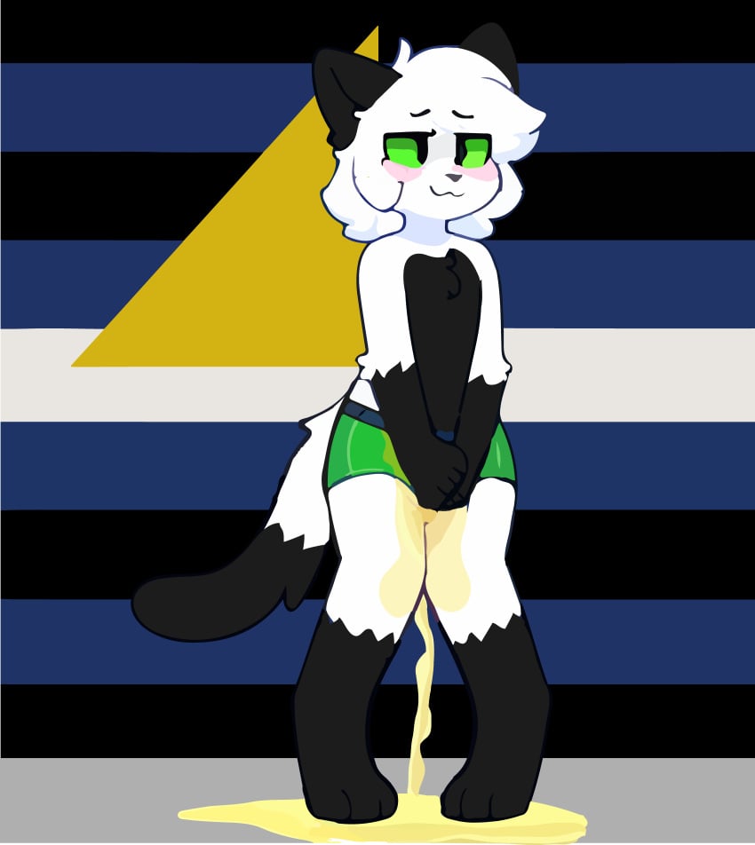 absurd_res anthro black_body black_ears black_fur black_fur_markings black_tail blizzardfur blizzardfur-maxxx blush bodily_fluids domestic_cat eyelashes felid feline felis fur genital_fluids green_eyes hi_res lgbt_pride male mammal paws peeing pride_colors solo steam tail urine urine_on_ground watersports wetting white_body white_fur