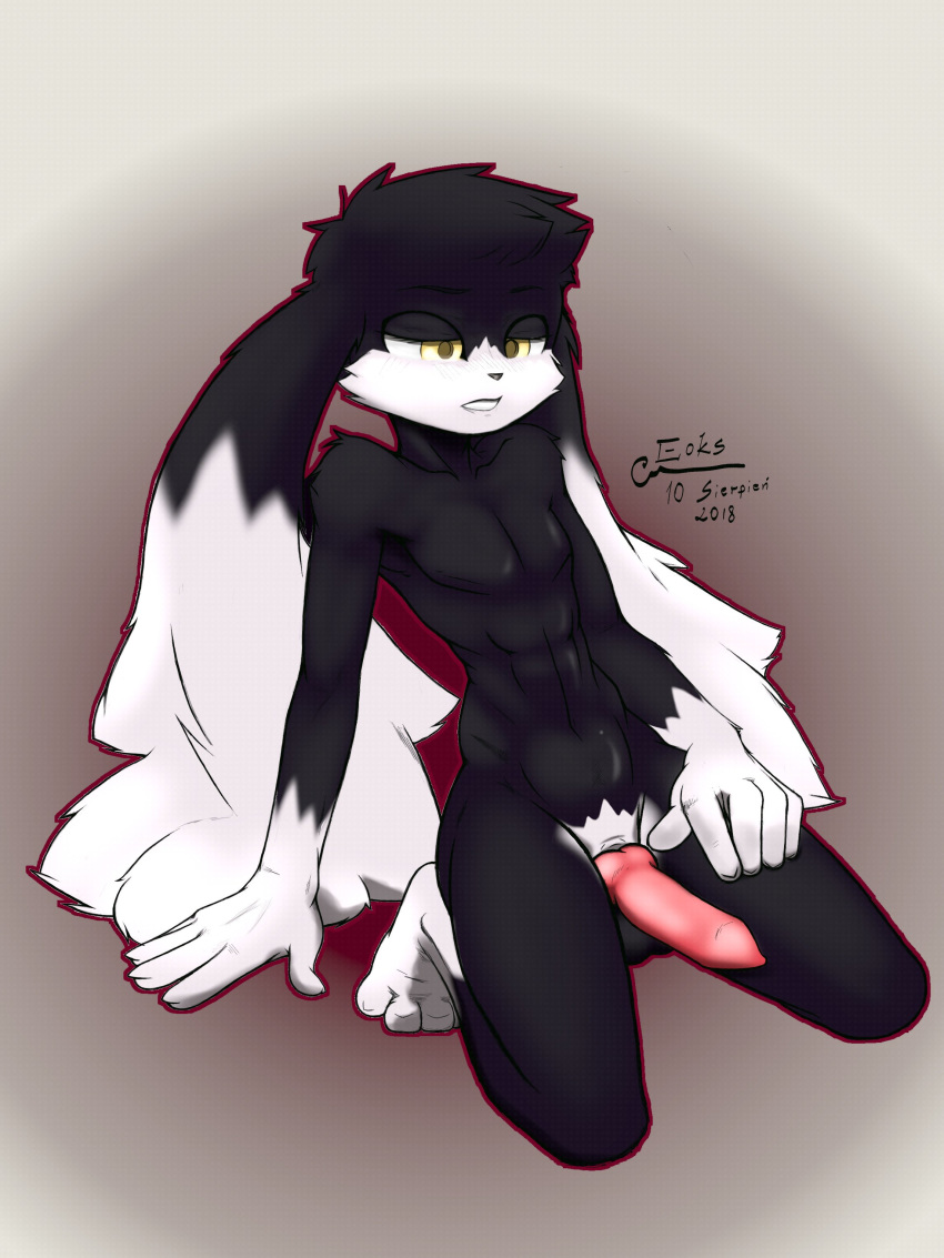 2018 anthro balls black_fur eoks erection feline fur hi_res klonoa klonoa_(series) kneeling lagomorph long_ears male male_only mammal multicolored_fur nude penis rabbit simple_background solo white_fur