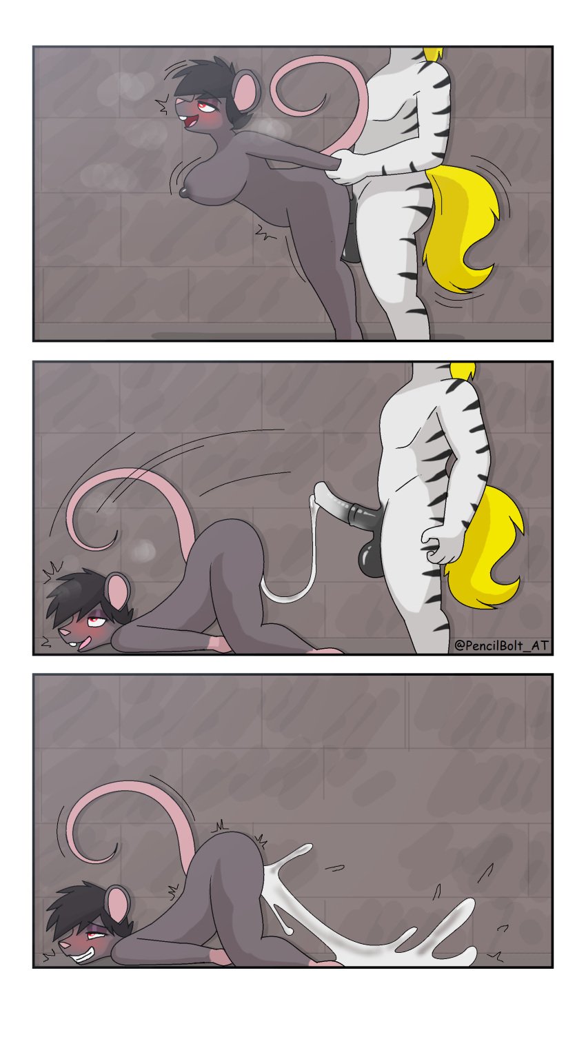 absurd_res animal_genitalia animal_penis anthro blush blush_lines bodily_fluids cum cum_expulsion cum_in_pussy cum_inside cum_splatter cumshot duo ejaculation equid equine equine_genitalia equine_penis excessive_cum excessive_genital_fluids female genital_fluids genitals hi_res male male/female mammal mature_anthro mature_female monroe_(pencil_bolt) murid murine pencil_bolt pencil_bolt_(pencilbolt) penis rat rodent zebra