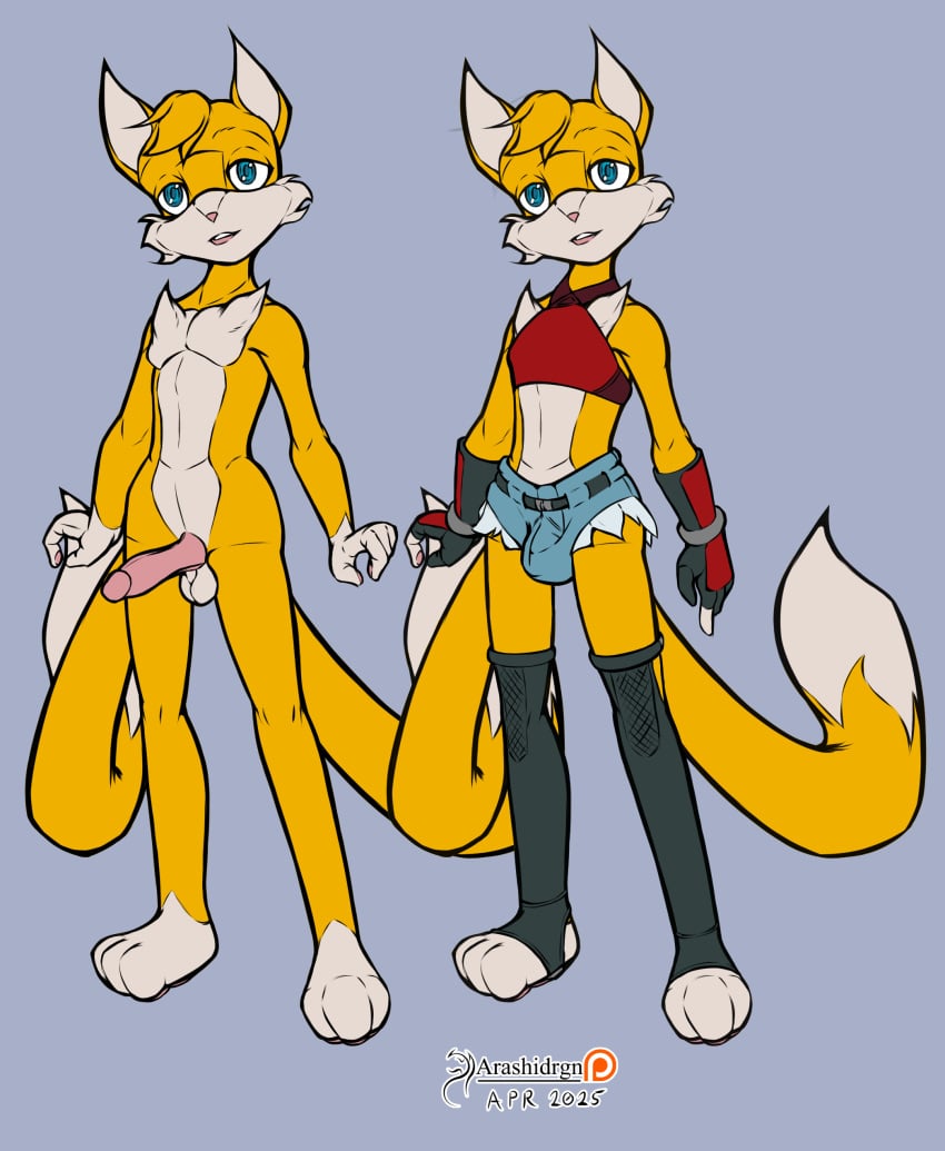 2025 absurd_res arashidrgn balls canid canine clothed clothing erection femboy fox fur genitals hair hi_res male male_only mammal model_sheet nude otoko_no_ko penis sega sonic_(series) sonic_the_hedgehog_(series) tails tails_the_fox twink