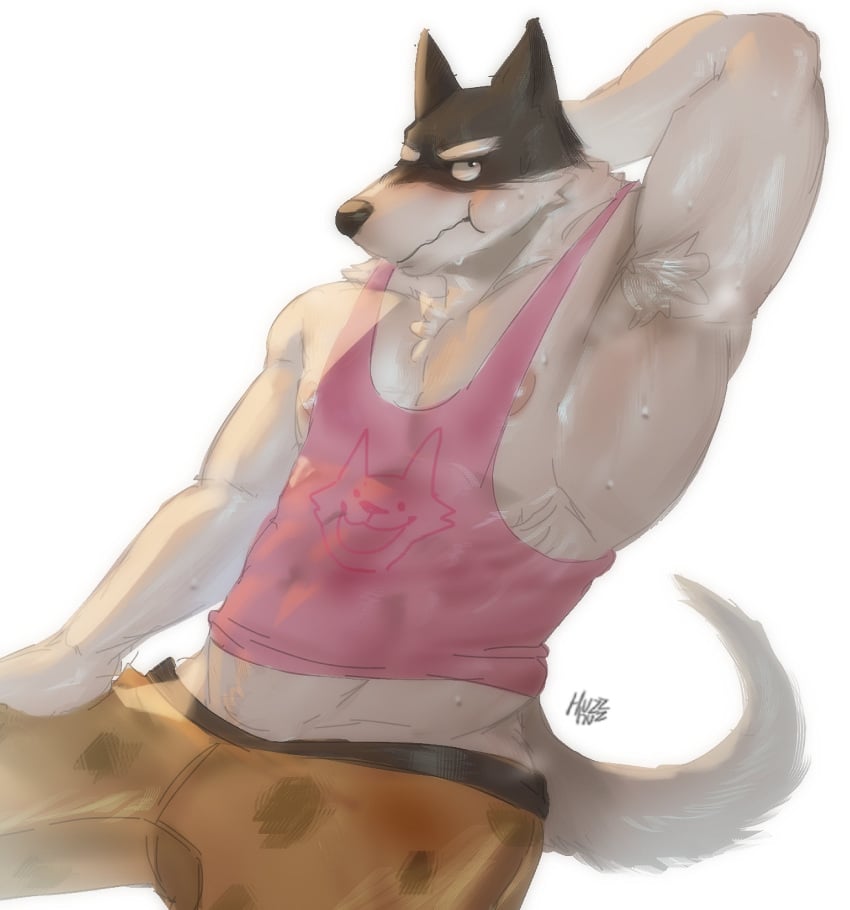 Doggo (Undertale) Rule 34 Image