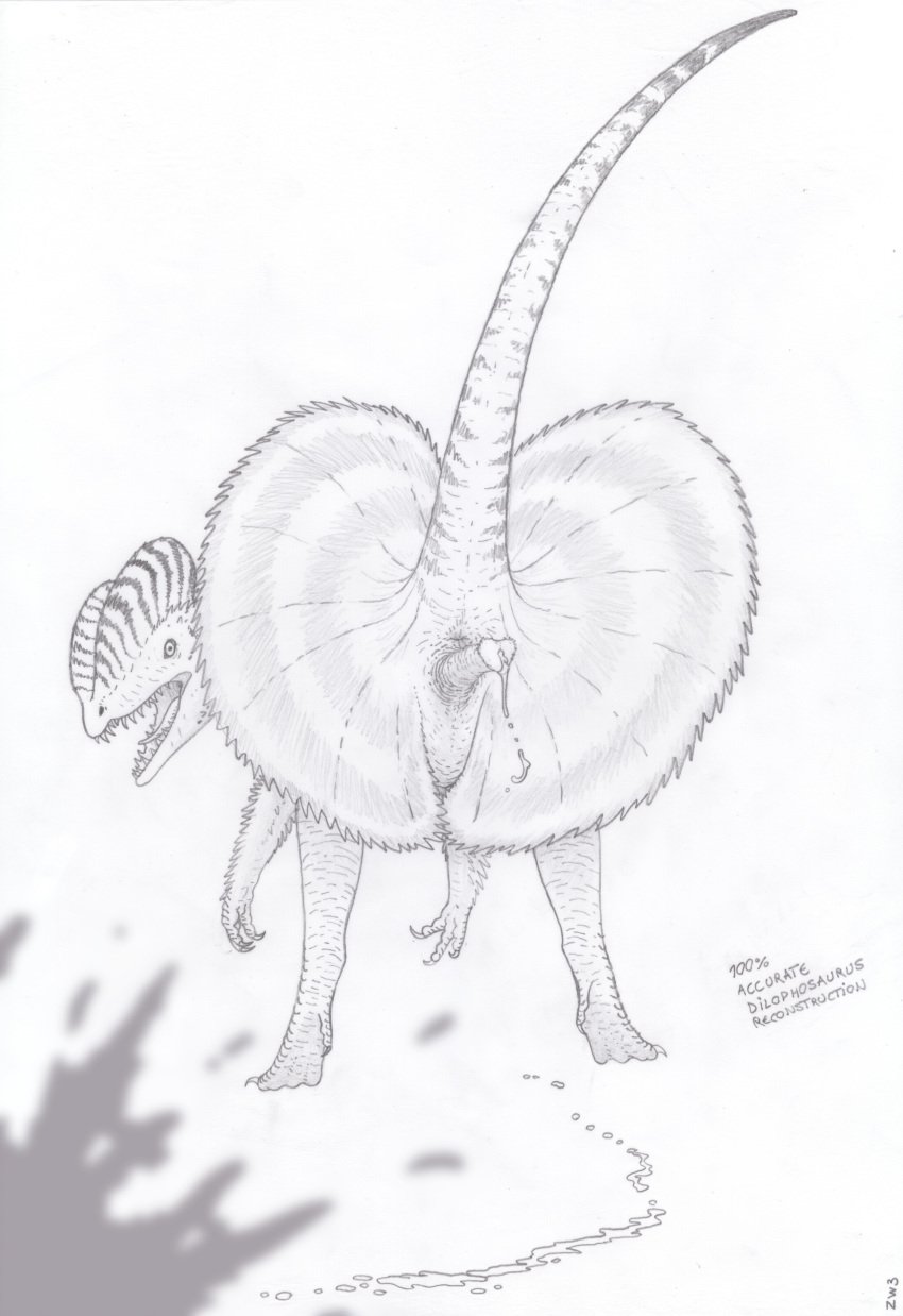 2018 absurd_res animal_genitalia anus ass ass_up attack biped claws cum cum_drip cum_on_ground cum_on_viewer cum_stain dilophosaurus dinosaur dripping e621_exclusive english_text erection feathers feral frill greyscale hi_res humor looking_at_viewer looking_back male monochrome nude open_mouth orgasm pencil_(artwork) penis presenting presenting_anus presenting_hindquarters presenting_penis raised_tail reptile scales scalie simple_background solo stripes teeth text theropod tongue traditional_media_(artwork) unusual_penis zw3