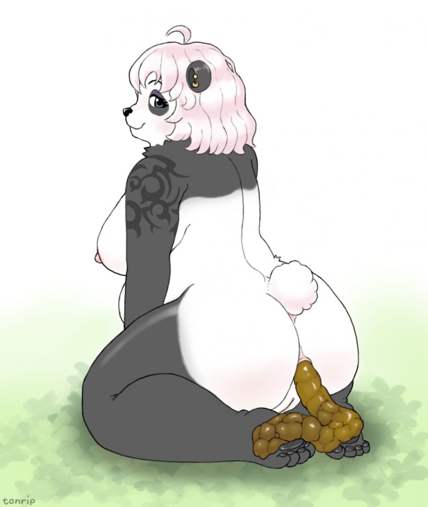 1female Rule 34 Image