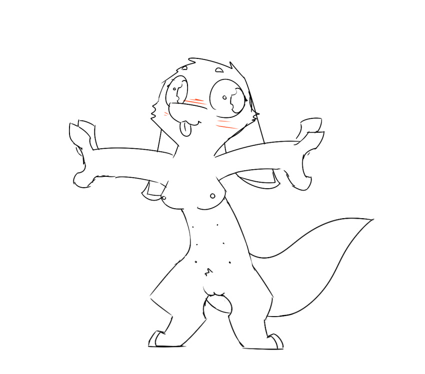 2_toes 4_fingers a_questionable_pony_blog anthro arms_out big_eyes blep blush breasts crotch_tuft digitigrade drawn eyebrows female floppy_ears fur hybrid long_body long_ears looking_aside lop_eared mammal nipples nude pussy simple_background sketch small_breasts solo spread_legs spreading standing tapering_tail teats toes tongue tongue_out unknown_species unusual_pupils white_background