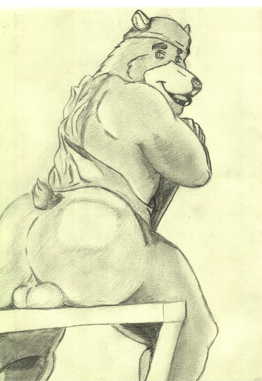 anthro ass backsack balls big_butt brown_bear cloth crazy_company grizzly_bear hat invalid_tag looking_back male male_only mammal pose rear_view simple_background sitting smile solo ursine