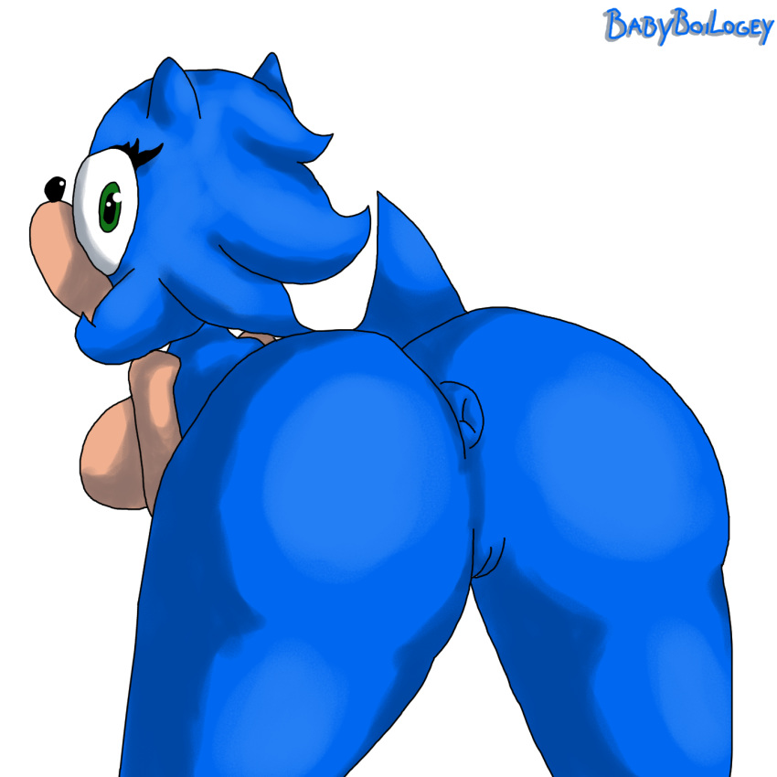 anus ass babyboilogey eulipotyphlan female hedgehog mammal presenting presenting_hindquarters pussy rule_63 sonic_(series) sonic_the_hedgehog sonique_the_hedgehog video_games