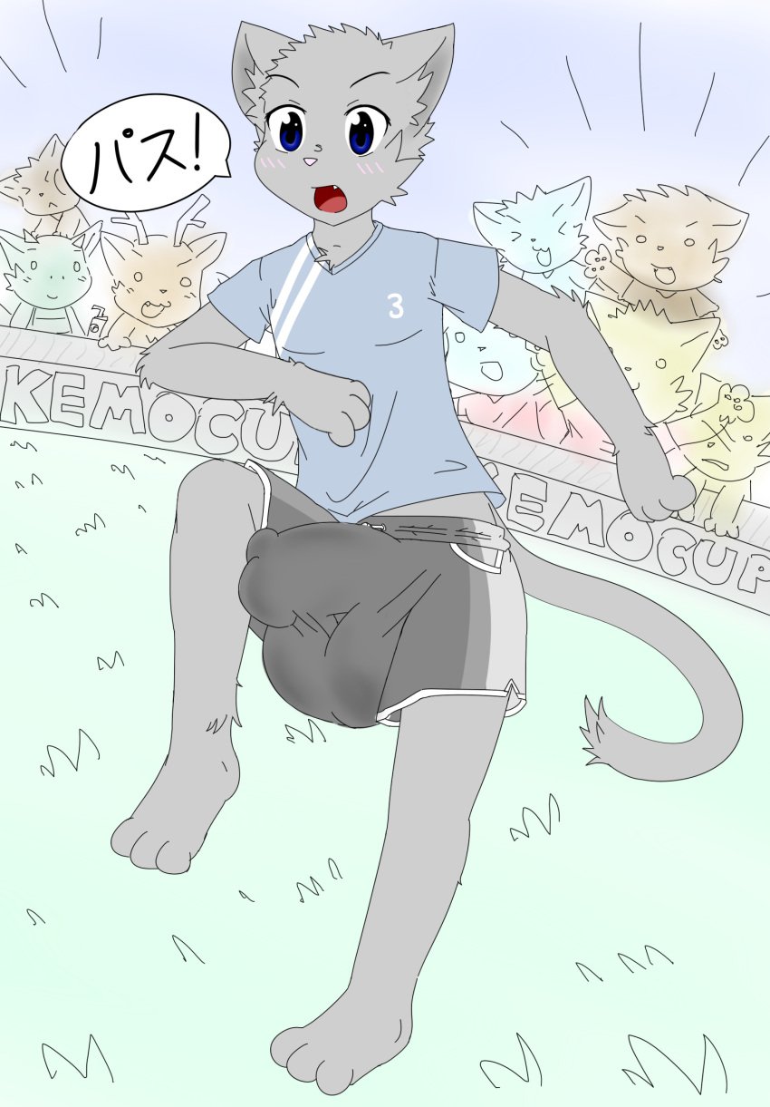 2012 alpha_channel anthro balls big_balls big_penis blue_eyes blush bulge cute_fangs feline fur grass grey_fur group inubashiri japanese_text male male_only mammal open_mouth penis solo_focus text translated