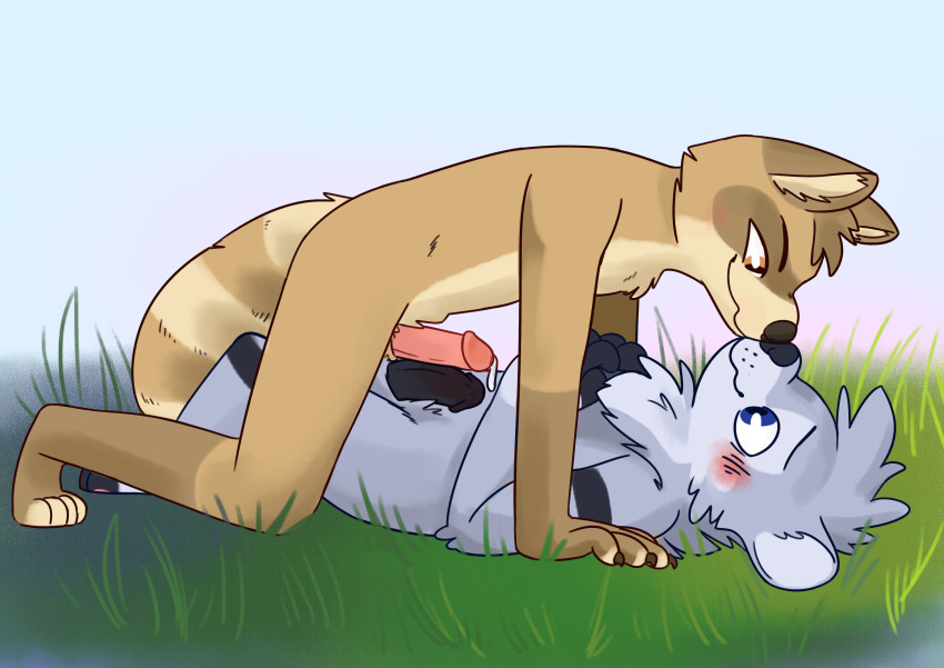 anthro blue_eyes blush brown_eyes brown_fur dosent frottage fur grey_fur humanoid_penis male mammal mustelid nose_boop olive_(xylious) otter penis precum procyonid raccoon sex yaoi