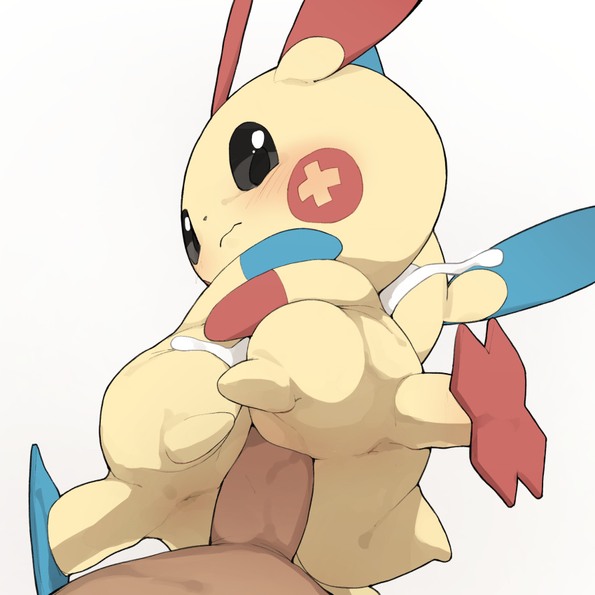 Minun (Nintendo) Rule 34 Image