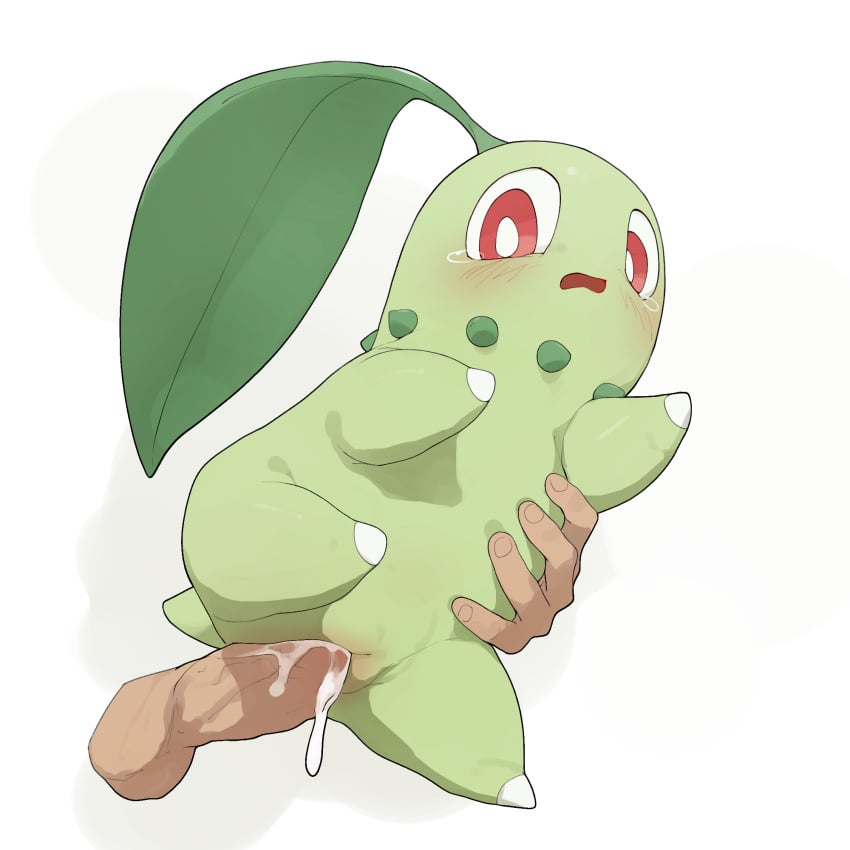 1boy 1girls ass blush chikorita creampie creampied_feral cum cum_in_pussy disembodied_hand disembodied_penis erection female feral feral_creampied feral_penetrated feral_pokemon flat_chest highres human interspecies larger_male leaf looking_down nintendo no_nipples open_mouth penis pokémon_(species) pokemon pokemon_gsc pussy red_eyes sex simple_background size_difference smaller_female solo straight tears testicles uncensored vaginal_penetration veins veiny_penis white_background wide_hips youjomodoki