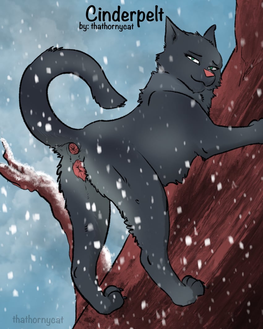 anus cinderpelt_(warriors) climbing colored feline female feral fur furry grey_fur mammal no_humans paws pussy shaded simple_background solo thathornycat warriors_(cats)