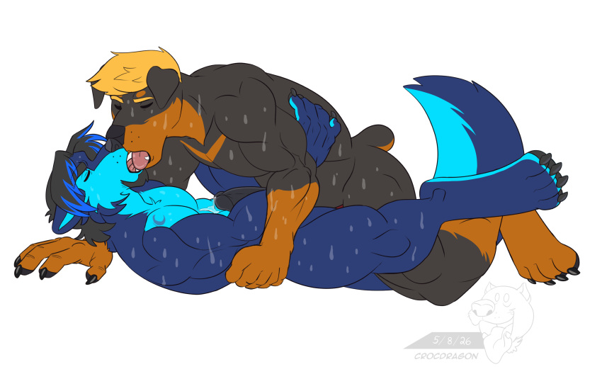 Djwolf Rule 34 Image