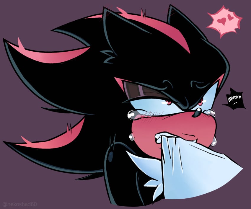 Shadow The Hedgehog (Sonic (Series)) Rule 34 Image