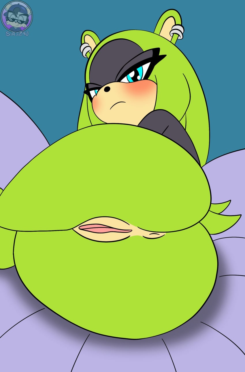 Sonic (Series) Rule 34 Image