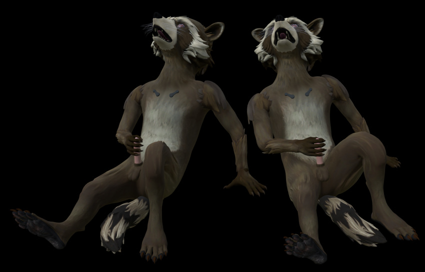 3d anthro balls begging disney front_view fur guardians_of_the_galaxy hi_res male male_only mammal marvel masturbation nude penis procyonid raccoon rocket_raccoon rockyrcoon solo