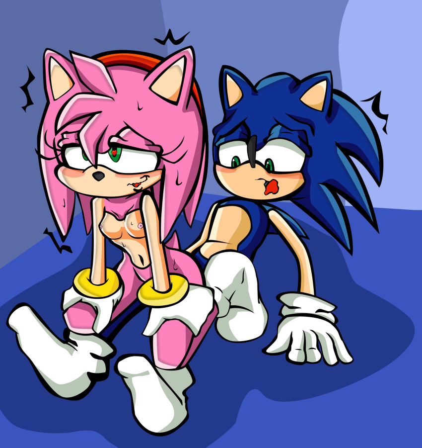 ambiguous_penetration amy_rose duo erection eulipotyphlan female hedgehog lewdsharx male mammal on_top penis pussy reverse_cowgirl_position sex sonic_(series) sonic_the_hedgehog